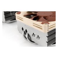 Кулер для процессора Noctua NH-L9x65, LGA1954/1851/1700/1200/115x, AM5/AM4 — фото 2