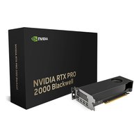 Видеокарта NVIDIA RTX PRO 2000 Blackwell 16GB GDDR7/128-bit, PCIe 5.0 x8, 4xmini-DP, 2 слота, низкопрофильная, без доп. питания (900-5G195-2250-000) — фото 1