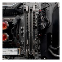 Patriot PVS416G360C8 — Модуль памяти 16GB 3600MHz DDR4 non-ECC DIMM Unbuffered, Viper Steel — фото 3