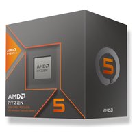 AMD Ryzen 5 8600G (4.3 - 5GHz, 6 ядер/12 потоков, 16Mb) AM5, DDR5-5200, TDP-65W, графика AMD Radeon 760M (100-000001237)